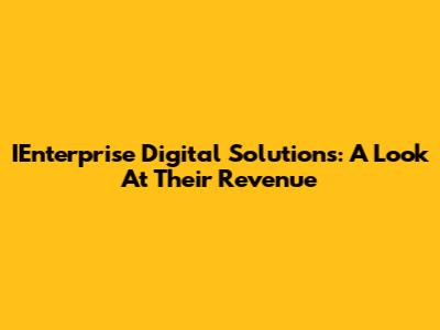 IEnterprise Digital Solutions: A Look At Their Revenue