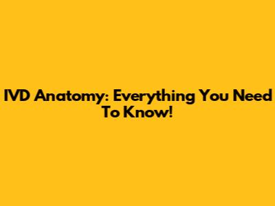 IVD Anatomy: Everything You Need To Know!
