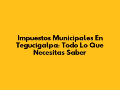 Impuestos Municipales En Tegucigalpa: Todo Lo Que Necesitas Saber