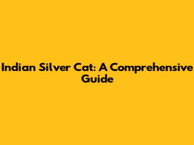 Indian Silver Cat: A Comprehensive Guide