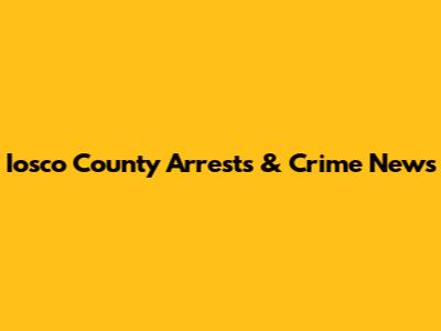 Iosco County Arrests & Crime News