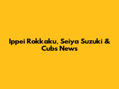 Ippei Rokkaku, Seiya Suzuki & Cubs News