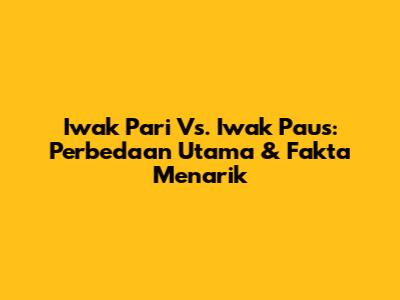 Iwak Pari Vs. Iwak Paus: Perbedaan Utama & Fakta Menarik