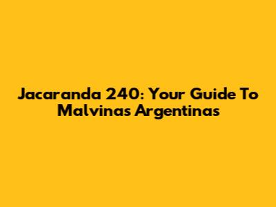 Jacaranda 240: Your Guide To Malvinas Argentinas