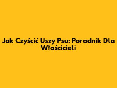 Jak Czyścić Uszy Psu: Poradnik Dla Właścicieli