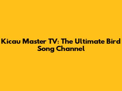 Kicau Master TV: The Ultimate Bird Song Channel