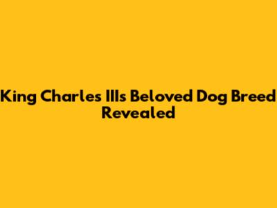 King Charles III's Beloved Dog Breed Revealed