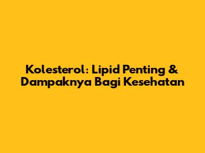 Kolesterol: Lipid Penting & Dampaknya Bagi Kesehatan