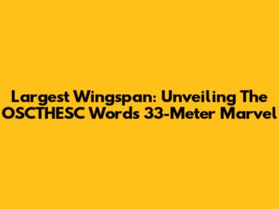 Largest Wingspan: Unveiling The OSCTHESC Word's 33-Meter Marvel