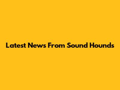 Latest News From Sound Hounds