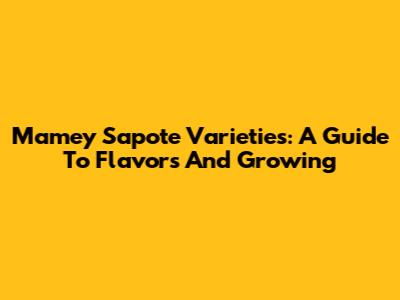 Mamey Sapote Varieties: A Guide To Flavors And Growing