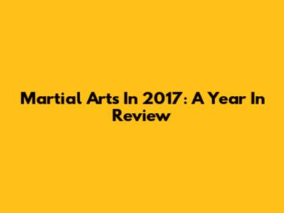 Martial Arts In 2017: A Year In Review