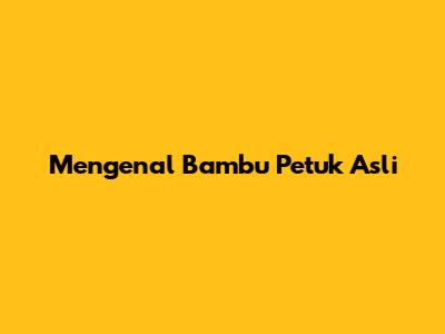 Mengenal Bambu Petuk Asli