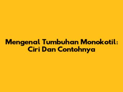 Mengenal Tumbuhan Monokotil: Ciri Dan Contohnya