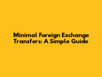 Minimal Foreign Exchange Transfers: A Simple Guide