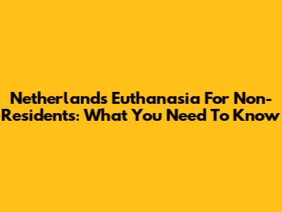 Netherlands Euthanasia For Non-Residents: What You Need To Know