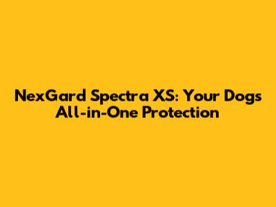 NexGard Spectra XS: Your Dog's All-in-One Protection