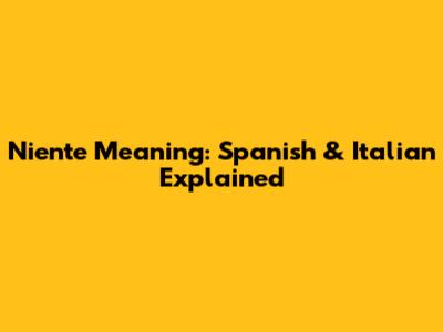 Niente Meaning: Spanish & Italian Explained