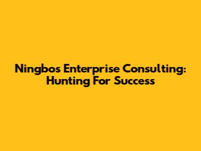 Ningbo's Enterprise Consulting: Hunting For Success