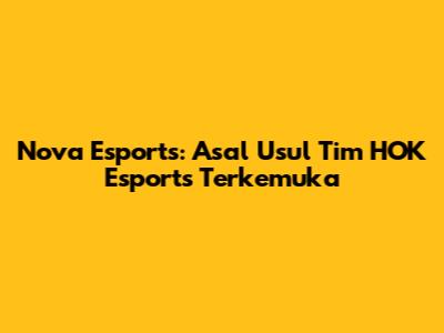 Nova Esports: Asal Usul Tim HOK Esports Terkemuka