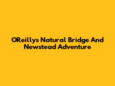 O'Reilly's Natural Bridge And Newstead Adventure