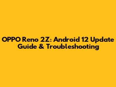 OPPO Reno 2Z: Android 12 Update Guide & Troubleshooting