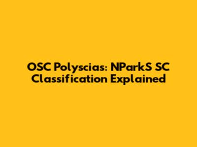 OSC Polyscias: NParkS SC Classification Explained