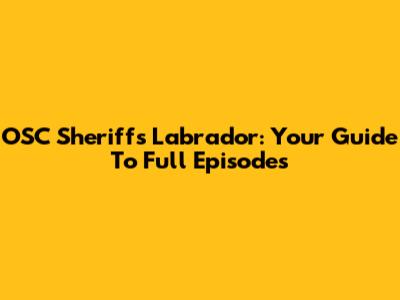 OSC Sheriff's Labrador: Your Guide To Full Episodes