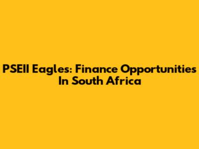 PSEII Eagles: Finance Opportunities In South Africa