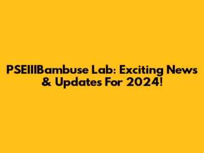 PSEIIIBambuse Lab: Exciting News & Updates For 2024!