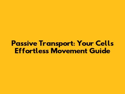 Passive Transport: Your Cells' Effortless Movement Guide