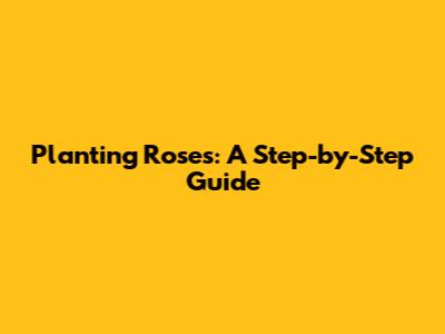 Planting Roses: A Step-by-Step Guide