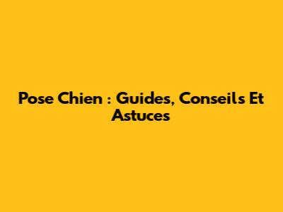 Pose Chien : Guides, Conseils Et Astuces