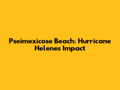 Pseimexicose Beach: Hurricane Helene's Impact