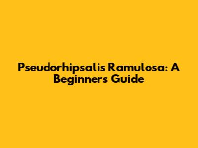 Pseudorhipsalis Ramulosa: A Beginner's Guide