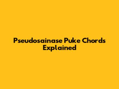 Pseudosainase Puke Chords Explained