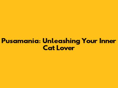 Pusamania: Unleashing Your Inner Cat Lover
