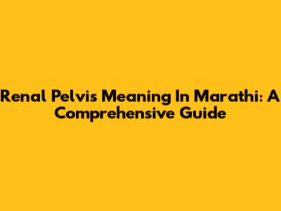 Renal Pelvis Meaning In Marathi: A Comprehensive Guide