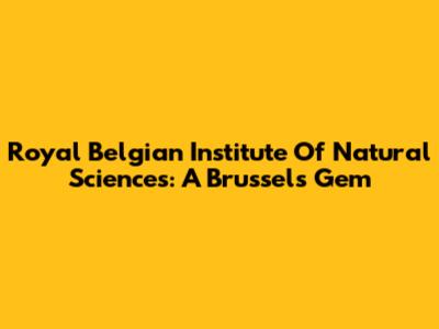 Royal Belgian Institute Of Natural Sciences: A Brussels Gem