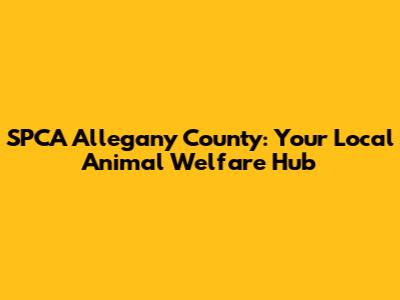 SPCA Allegany County: Your Local Animal Welfare Hub