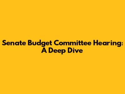 Senate Budget Committee Hearing: A Deep Dive