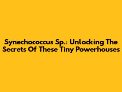 Synechococcus Sp.: Unlocking The Secrets Of These Tiny Powerhouses