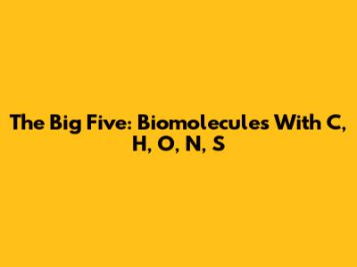The Big Five: Biomolecules With C, H, O, N, S