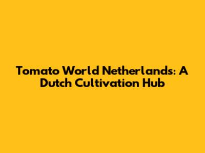 Tomato World Netherlands: A Dutch Cultivation Hub