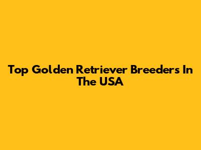 Top Golden Retriever Breeders In The USA
