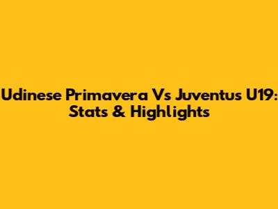 Udinese Primavera Vs Juventus U19: Stats & Highlights