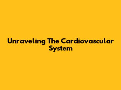 Unraveling The Cardiovascular System