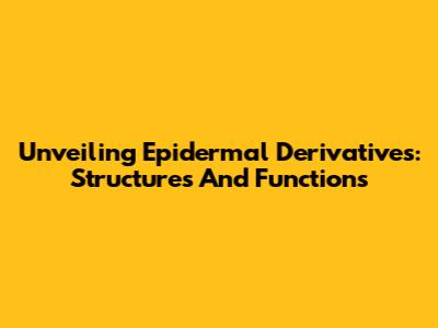 Unveiling Epidermal Derivatives: Structures And Functions