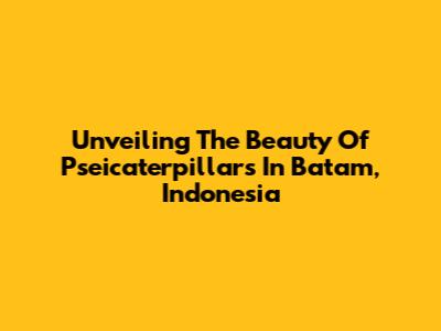 Unveiling The Beauty Of Pseicaterpillars In Batam, Indonesia