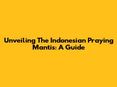 Unveiling The Indonesian Praying Mantis: A Guide